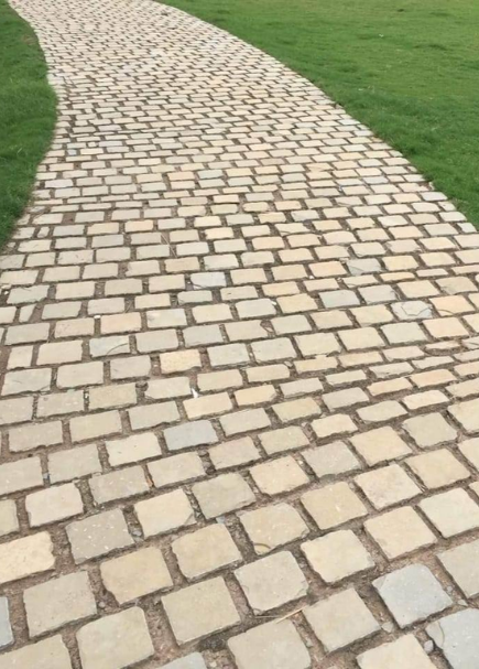 270-435X607_INTERIOR-RIGHT-Acadian-Black